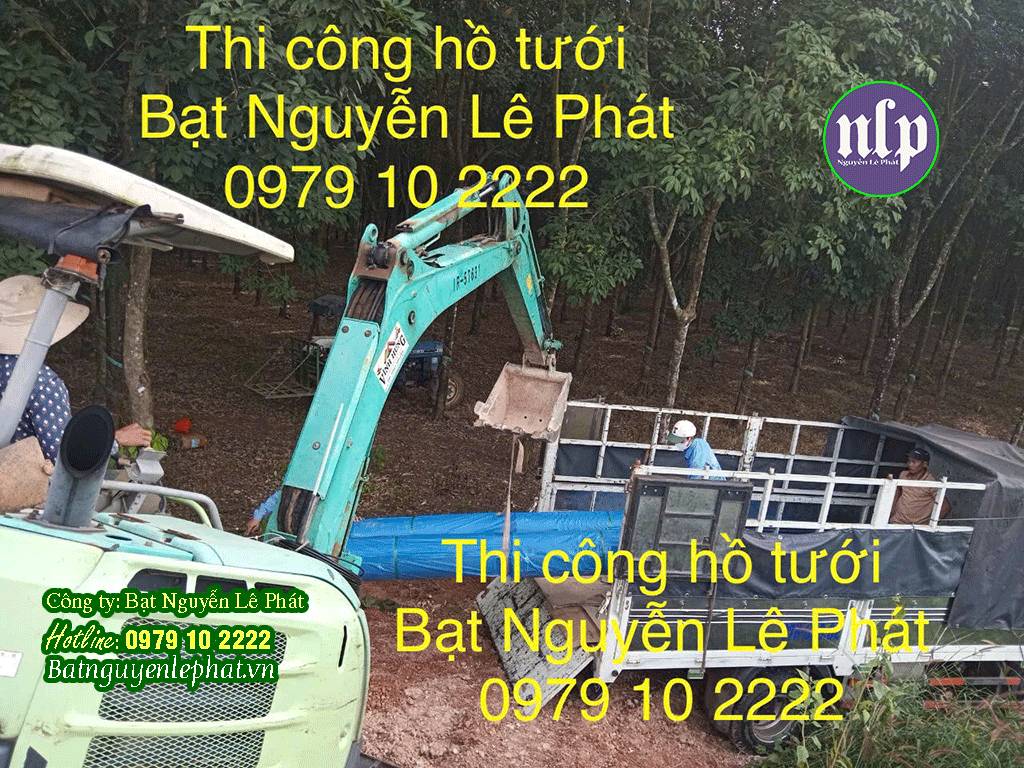 Thi Công Bạt lót hồ chứa nước tưới cây tại Phú Giáo